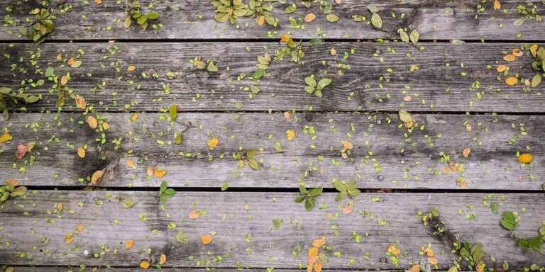 renovate : 🎧 Your Personal Streaming Service