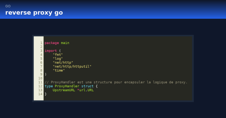 reverse proxy go