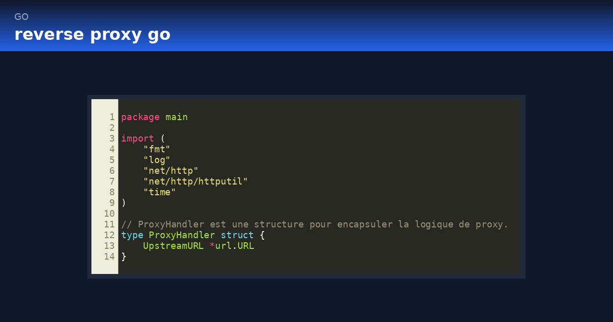 reverse proxy go
